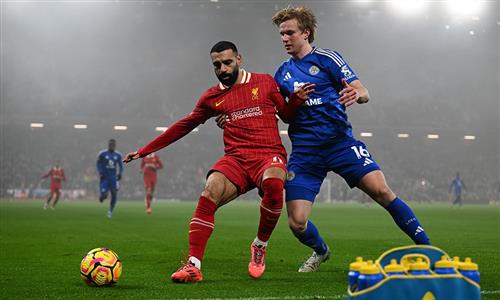 BetKing Mobile Phone Number: Contact Guide
